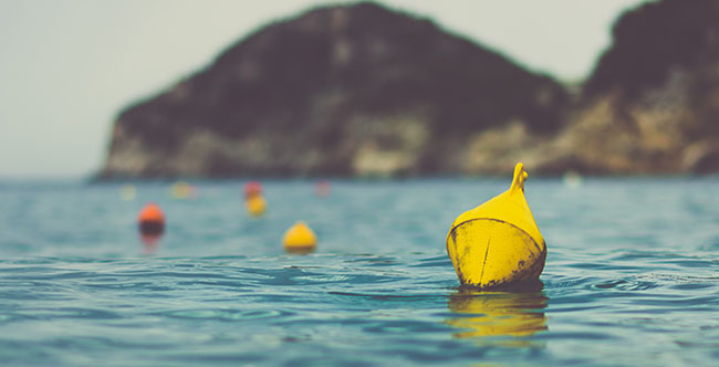 Floating_rate_note_800