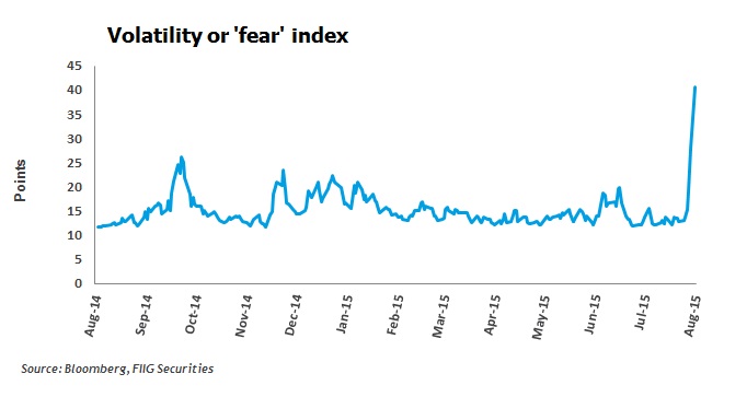 Volatility or 'fear' index