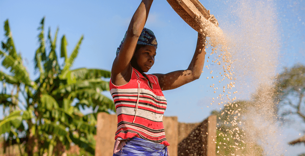 visionfund-wire-article