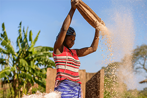 VisionFund-wire-email-300x200