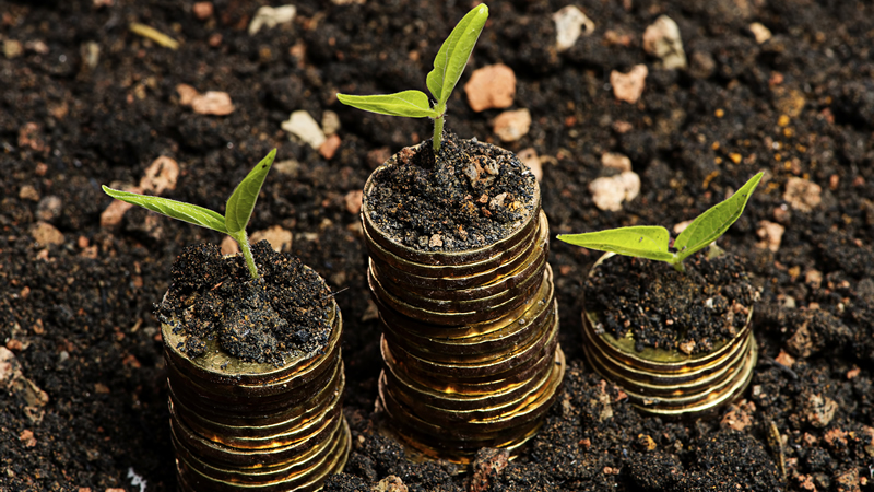 growinginvestment growinginvestment