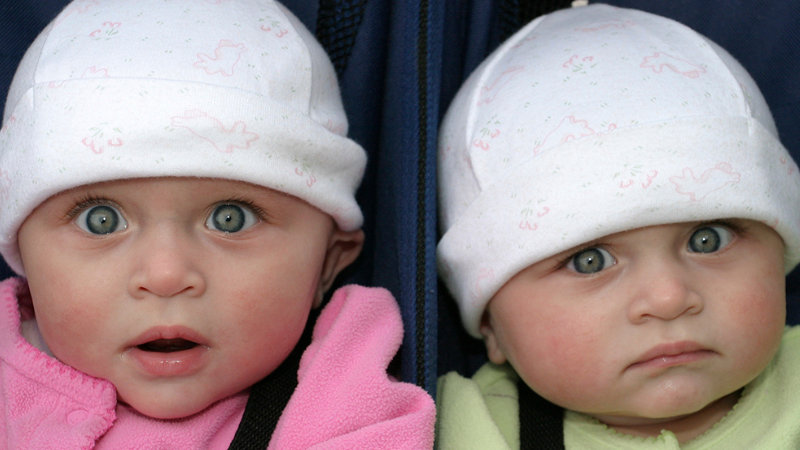 twin babies twin babies