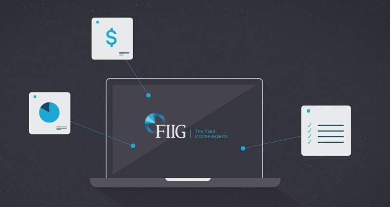 FIIG services