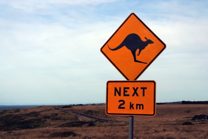 kangaroo sign australia