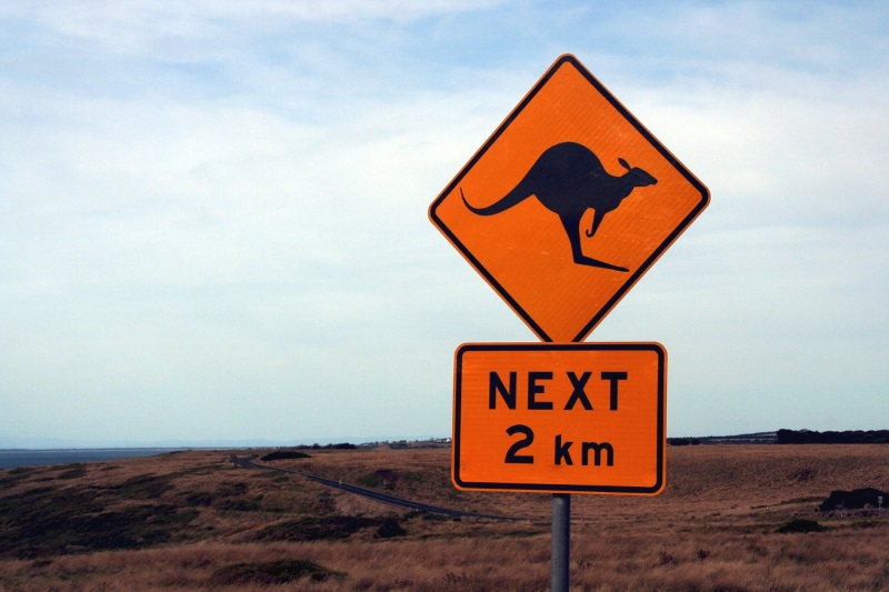 kangaroo sign australia kangaroo sign australia