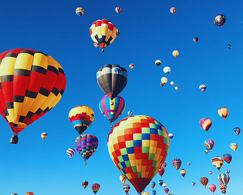 Sample-portfolio-800