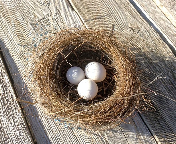 Sample-Portfolio-800