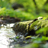 Achieving-a-regular-income-stream-from-a-bond-portfolio-160