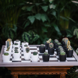 Where-to-after-hybrids-160