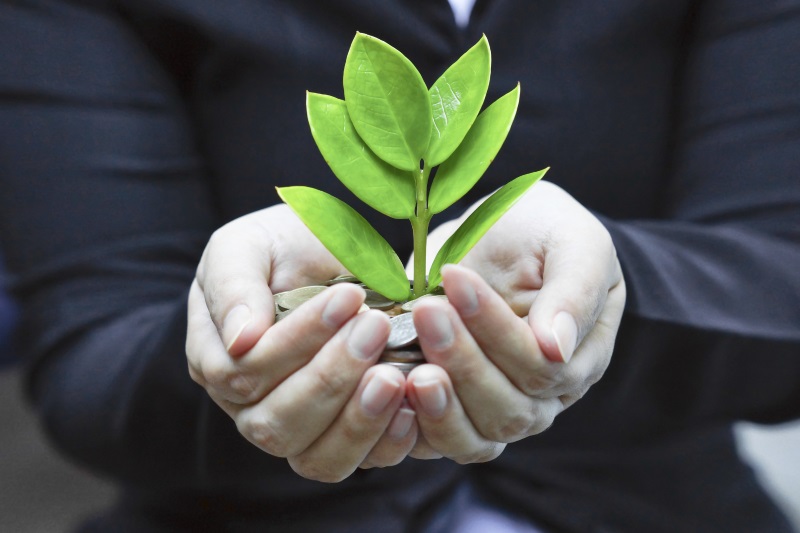 businessman_holding_plant_in_hands