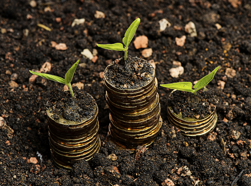 coins_growing_plants_in_soil