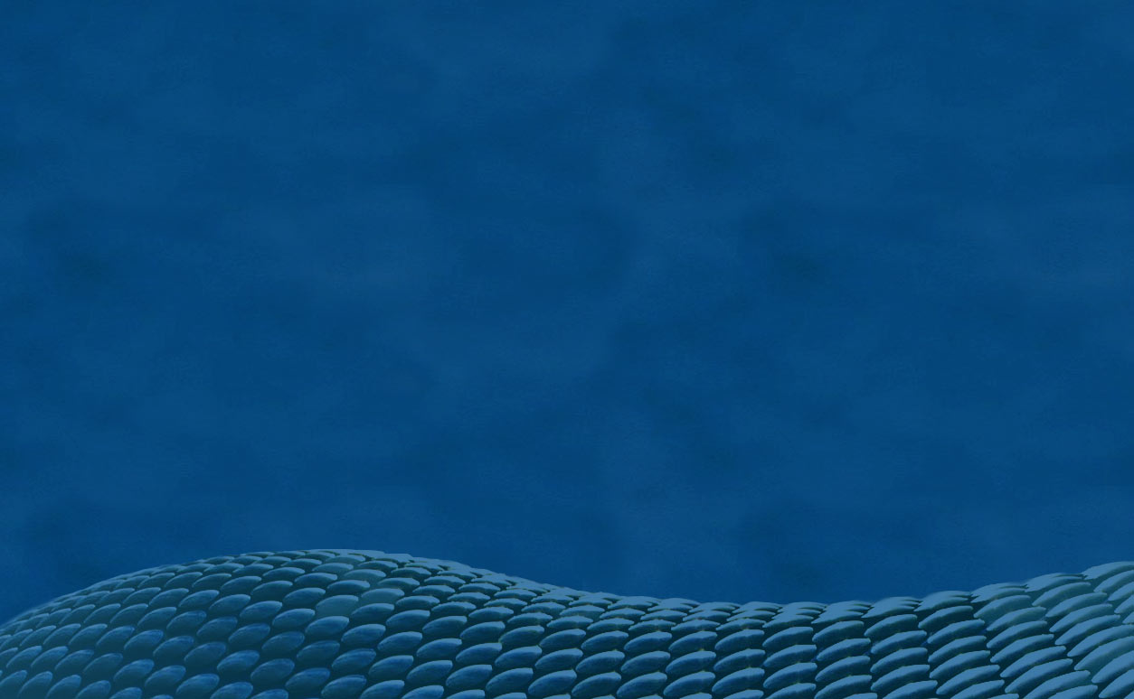 FIIG Securities Mid-year Credit Outlook 2020