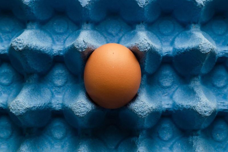 image for portfilio diversification wire 2304