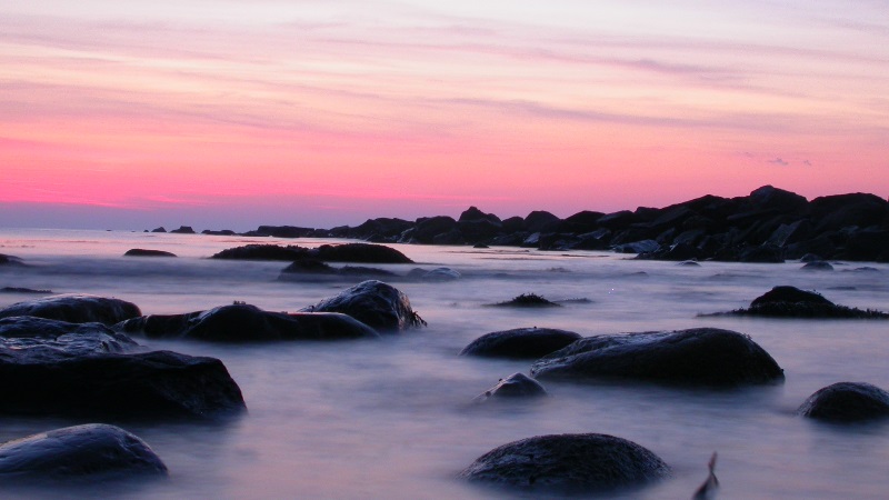 liz aus article 19 april