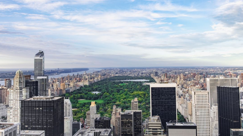 new york new york