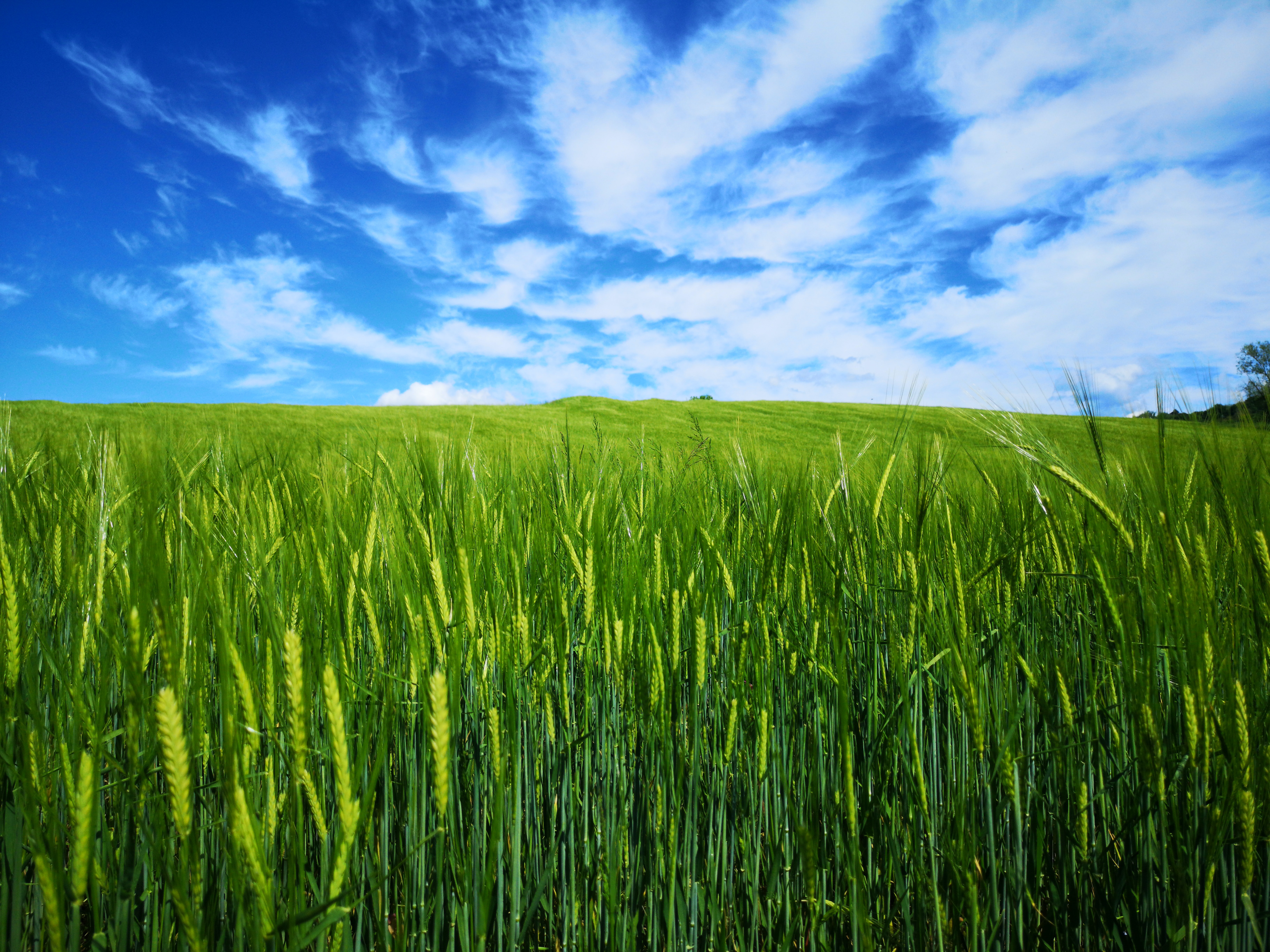 Retail-sample-portfolio-April