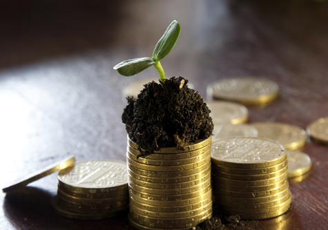 coins_with_soil_and_plant