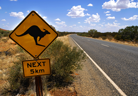 Kangaroo_sign